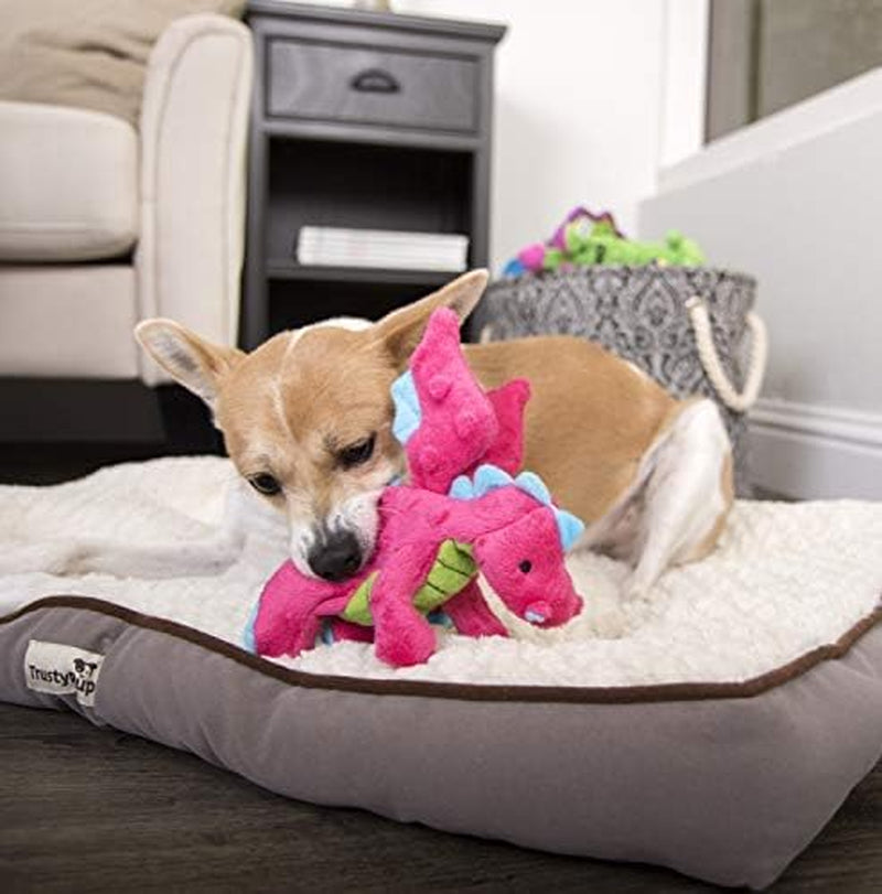 Bubble Plush Dragons Squeaky Dog Toy, Chew Guard Technology - Pink, Small