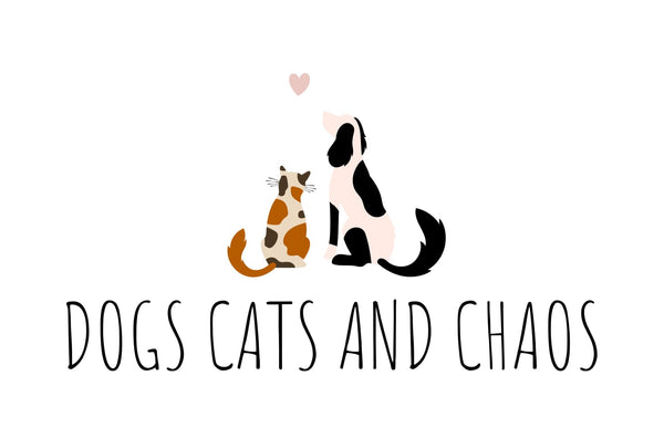 Dogs Cats and Chaos