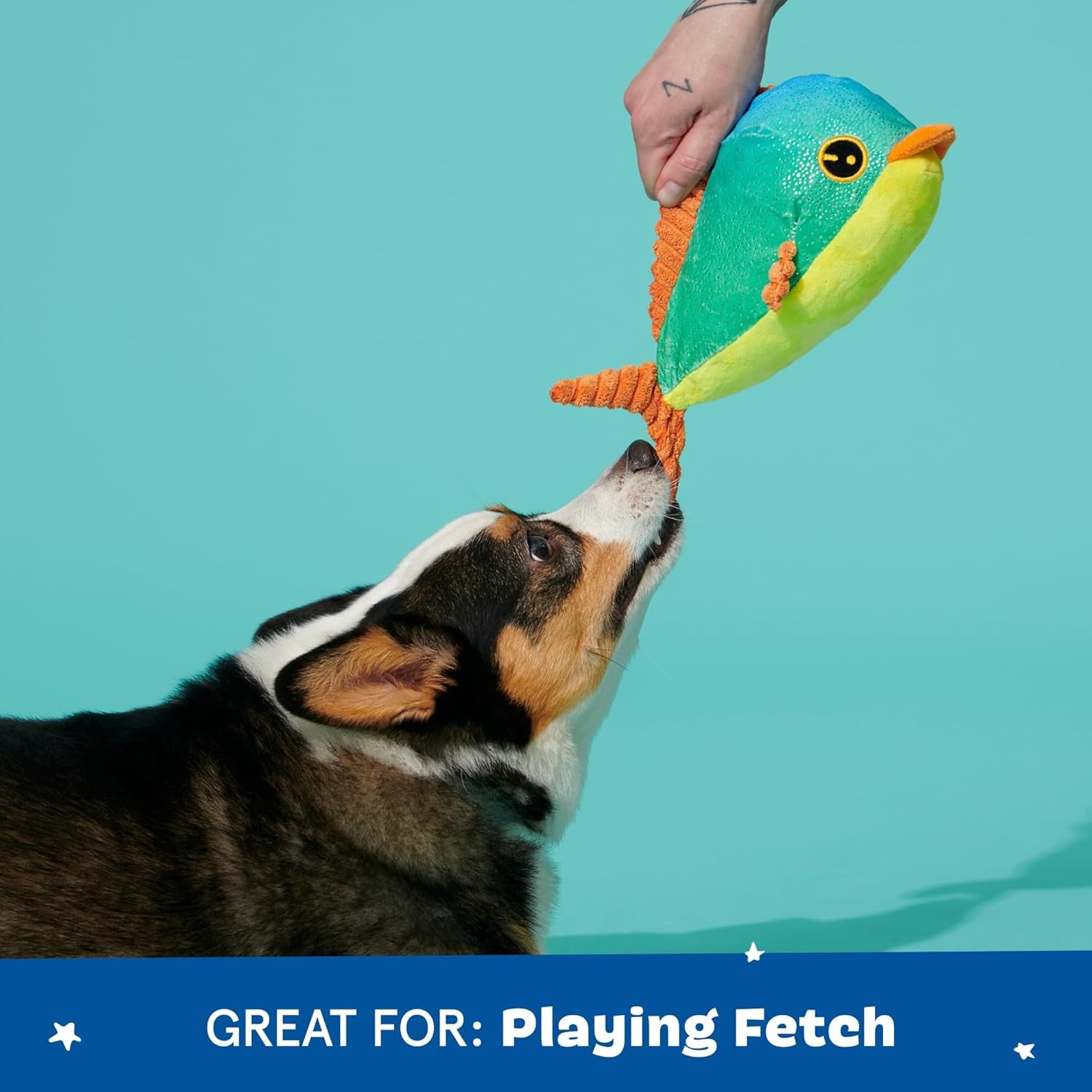 under the Sea Bundle - 3 Toys for Medium and Large Dogs - Squeaky Dog Toys, Tug Toys, Plush Chew Toys - Maggie Mahi, Shify Sid the Squid, Moby Lick