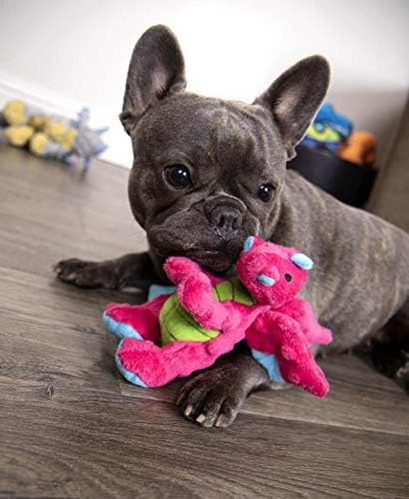 Bubble Plush Dragons Squeaky Dog Toy, Chew Guard Technology - Pink, Small